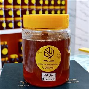 عسل چهل گیاه طبیعی 500گرمی