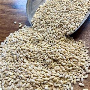 یک کیلو گرم آرد جو  خالص مناسب برای پخت و پز و تهیه نان جو خانگی و مصرف آشپزخانه