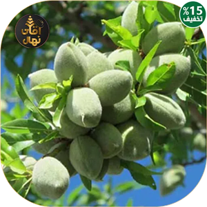 نهال بادام فرانسیس فرانسوی