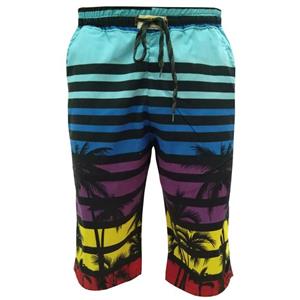 شلوارک مردانه هاوایی مدل 331