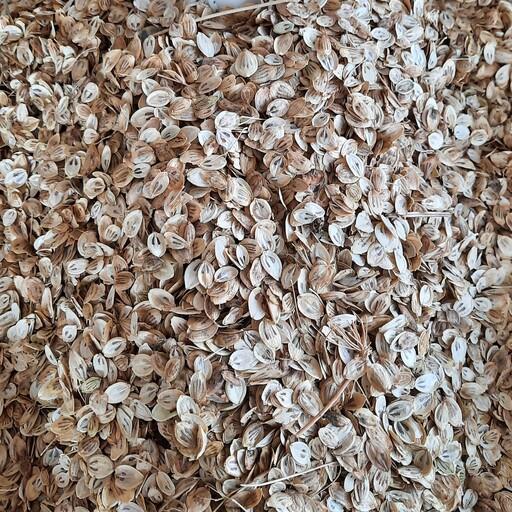 برگ گلپر فله ای