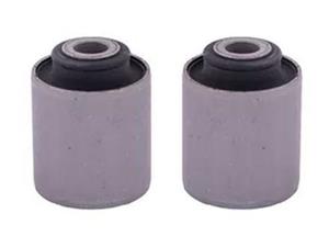 بوش دوشاخ رام 405 امیرنیا