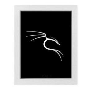 تابلو 30 در 40 طرح برنامه نویسی و شبکه مدل کالی لینوکس (Kali Linux) 