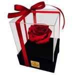 جعبه گل ماندگار دکوفیوره مدل رز جاودان بزرگ قرمز