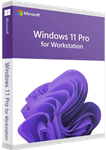 لایسنس Windows 11 Pro for workstation