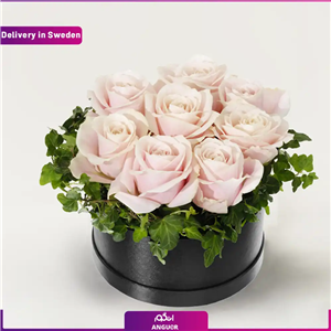 باکس گل رز ربانی(8شاخه)