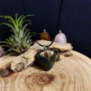 گردنی کهکشان