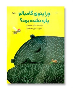 کتاب چرا پتوی گامبالو پاره نشده بود؟ - اثر بابامرندی-مژگان - نشر کانون پرورش فکری کودکان و نوجوانان