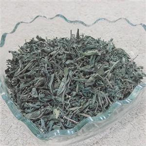 چای سبز خوش رنگ وبی نظیرمعین محصول باغات سرسبز لاهیجان