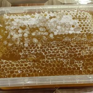 عسل مومدار چندگیاه بهاره تازه (750)