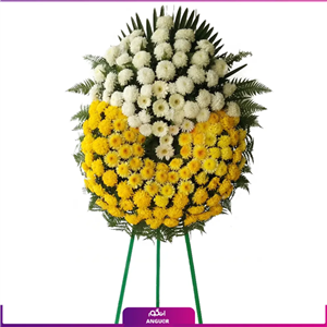 تاج گل تبریک و تسلیت حلقه ای (ژربرا – داوودی)