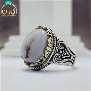 نگین شجر سمنان اصل و معدنی با رکاب نقره زیبا مردانه