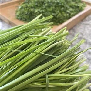 تره  خشک سبز اعلا خانگینیم کیلویی درجه 1