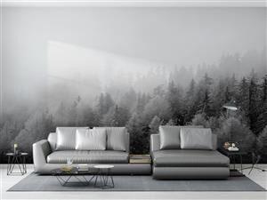 پوستر دیواری سیاه و سفید جنگل W10111600