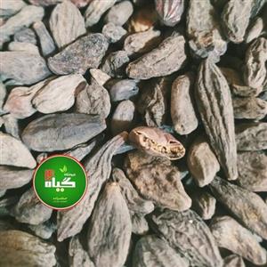 هلیله سیاه سیاه کننده موی سر (100گرمی ) عطاری چهل گیاه