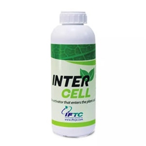 اینترسل (Intercell) حاصل نوین