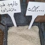 برنج طارم فجر مازندران با ضمانت پخت و پز و رضایت در صورت مورد پسند نبودن مرجوع بی قید و شرط