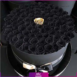 باکس گل رز مشکی با تک گل طلایی