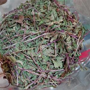 گیاه نعنا فلفلی یا سوسنبر 100گرمی (عطاری فاطر 