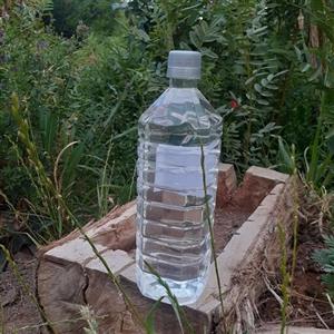 عرق زنیان یا کسرک دو لیتری خانگی ارگانیک