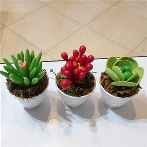 سری 3 تایی گلدان کوچولو کاکتوس مصنوعی