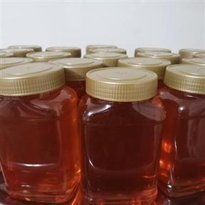 عسل گون نیمه تغذیه ساکارز  زیر 2درصد(1کیلویی)