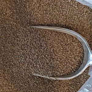 زنیان اعلی، میوه زنیان، 100 گرمی
