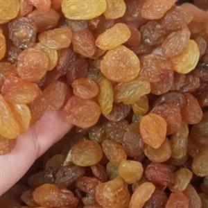 کشمش پلویی آفتابی خراسان شمالی، درجه یک ،دارای خواص شگفت انگیز