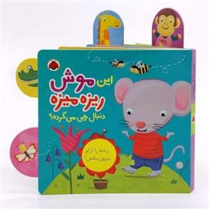 کتاب دالی بازی این موش ریزه میزه دنبال چی میگرده انتشازات شهرقلم