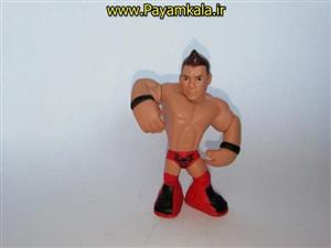 اکشن فیگور شخصیت های کشتی کج ( WWE Action Figure) طرح 24 
