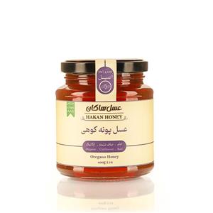 عسل پونه کوهی هاکان  400 گرمی