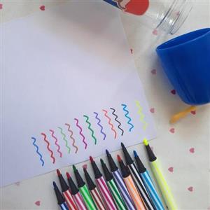 ماژیک نقاشی ۱۲ رنگ دلی