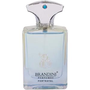 عطر جیبی مردانه برندینی مدل Portrayal حجم 33 میلی لیتر
