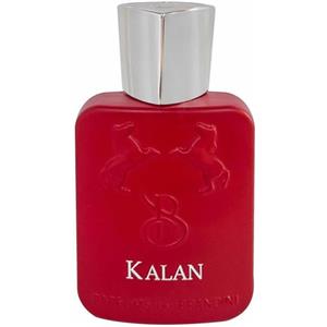 عطر جیبی مردانه برندینی مدل Man in Black حجم 33 میل