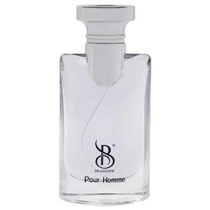 عطر جیبی مردانه برندینی مدل Pour homme ظرفیت 25 میلی لیتر