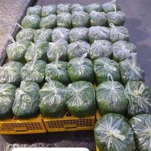 سبزی قورمه معطر(50کیلو)،کیلویی 25000تومان