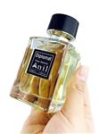 Anil Perfume عطر مردانه Diplomat 100ml با رایحه اونتوس کرید