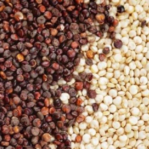 گیاه کینوا فله 100 گرمی