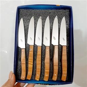 چاقوی زنجان  کاردمیوه خوری زنجان
