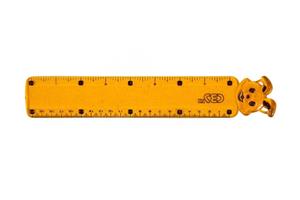 Ruler CBS plastic 20 cm خط کش پلاستیکی 20 سانتیمتر سی بی اس 