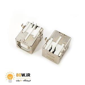 سوکت مادگی USB تایپ B روبوردی رایت