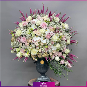 جام گل خواستگاری مجنون لیلی