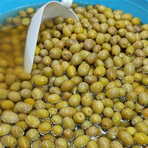 زیتون درجه یک سایز درشت  خوش مزه رودبار