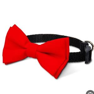 پاپیون مخصوص سگ سایز بزرگ(ارسال رنگ به صورت رندوم )(پسکرایه،هزینه ارسال بامشتری )