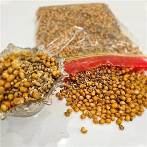 گندم برشته( گندم شاه دانه سنتی) (500 گرم)
