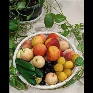 سینی حصیری جای لیوان و میوه ....