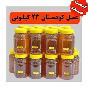 عسل کوهستان محصول جدید کوهدار 23 کیلو عمده(در ظرف های یک کیلویی)کیلویی 177 تومن