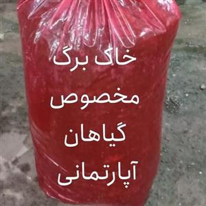 خاک برگ گیاهان آپارتمانی