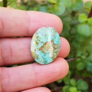 نگین فیروزه نیشابوری شجر سبز آبی