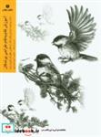 کتاب آموزش گام به گام طراحی پرندگان ارائه جزئیات اجرای بافت کار با عکس خلق اثر هنری زنده - اثر موری آسنگ - نشر یساولی